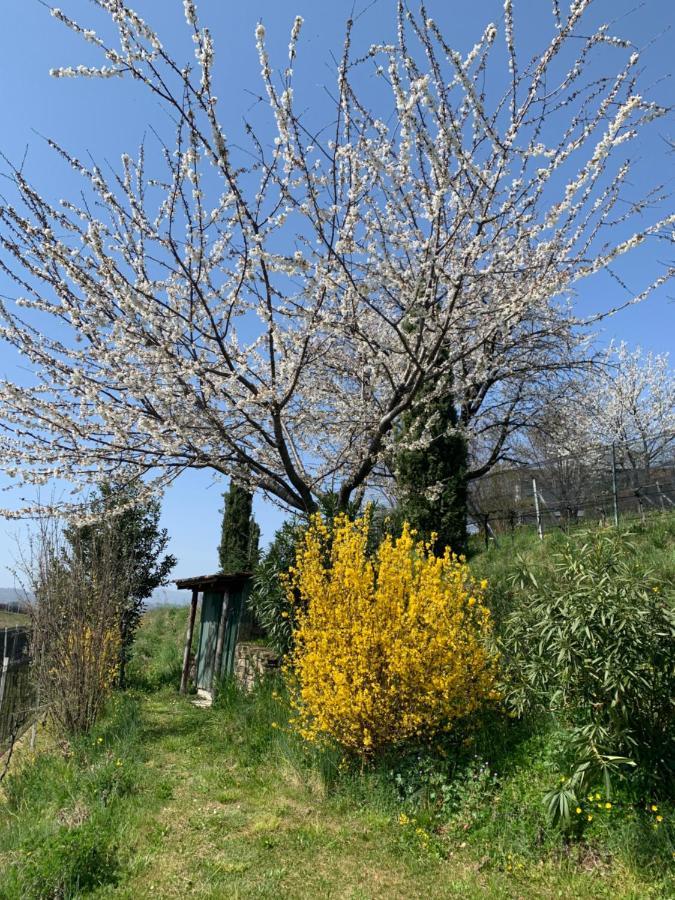 Appartamento TieMi Coldrerio Esterno foto