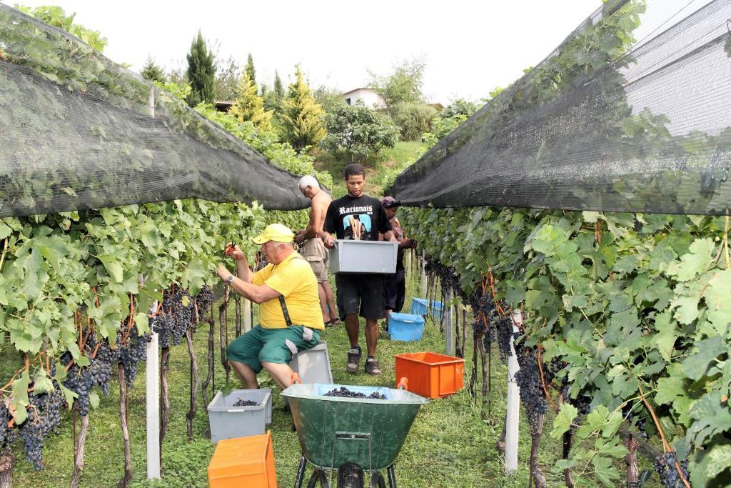 Appartamento TieMi Coldrerio Esterno foto